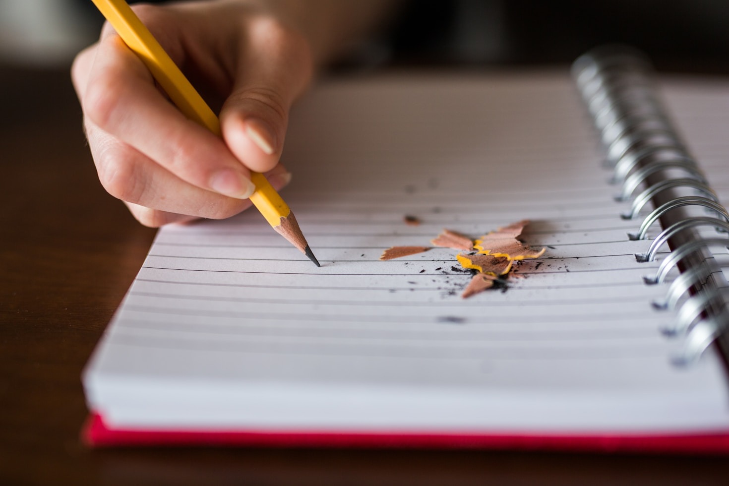 Lessons Learned From Unexpected Life Paths